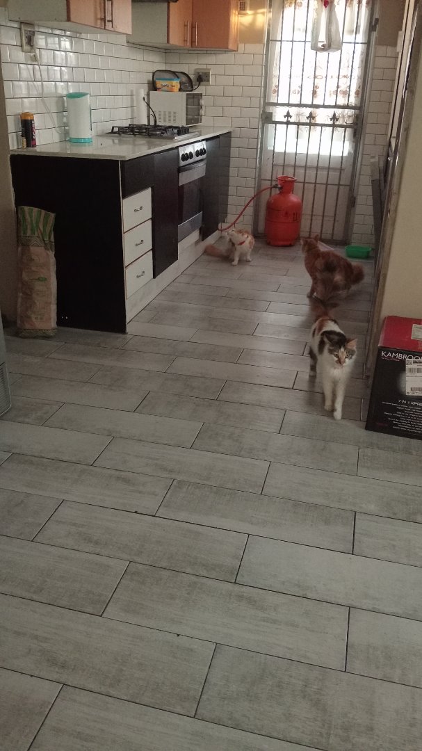 3 Bedroom Property for Sale in Bay View Western Cape